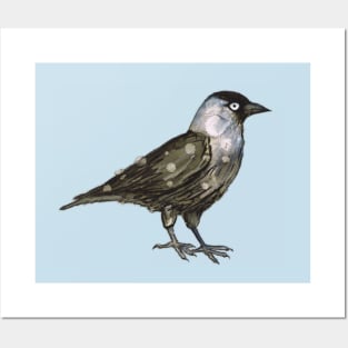 Western jackdaw Posters and Art